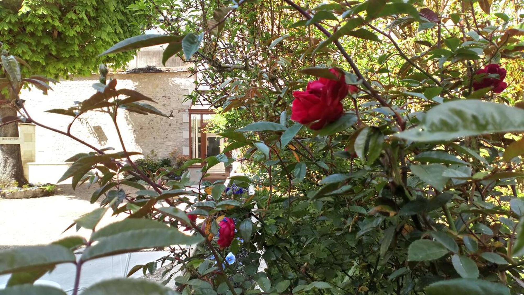 Hotel Grand Monarque Azay-le-Rideau Kültér fotó